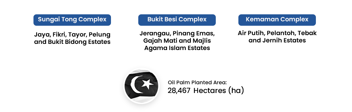 Plantation 2 Plantation 2